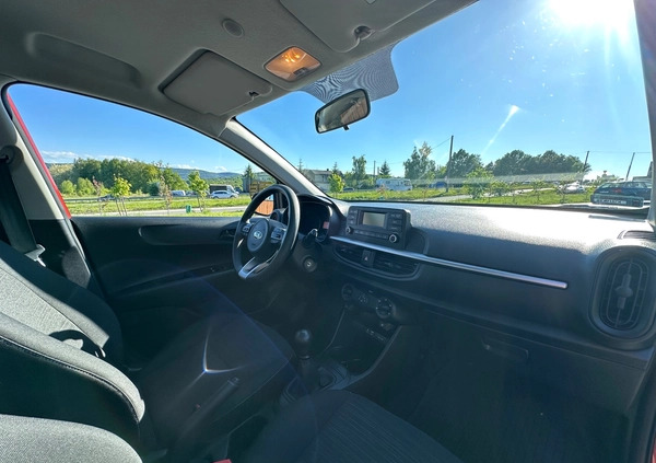 Kia Picanto cena 42900 przebieg: 35100, rok produkcji 2019 z Kraków małe 529